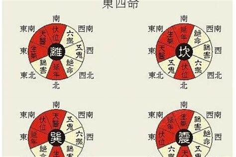 离卦命|东四命是什么意思